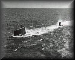 Skipjack Diving